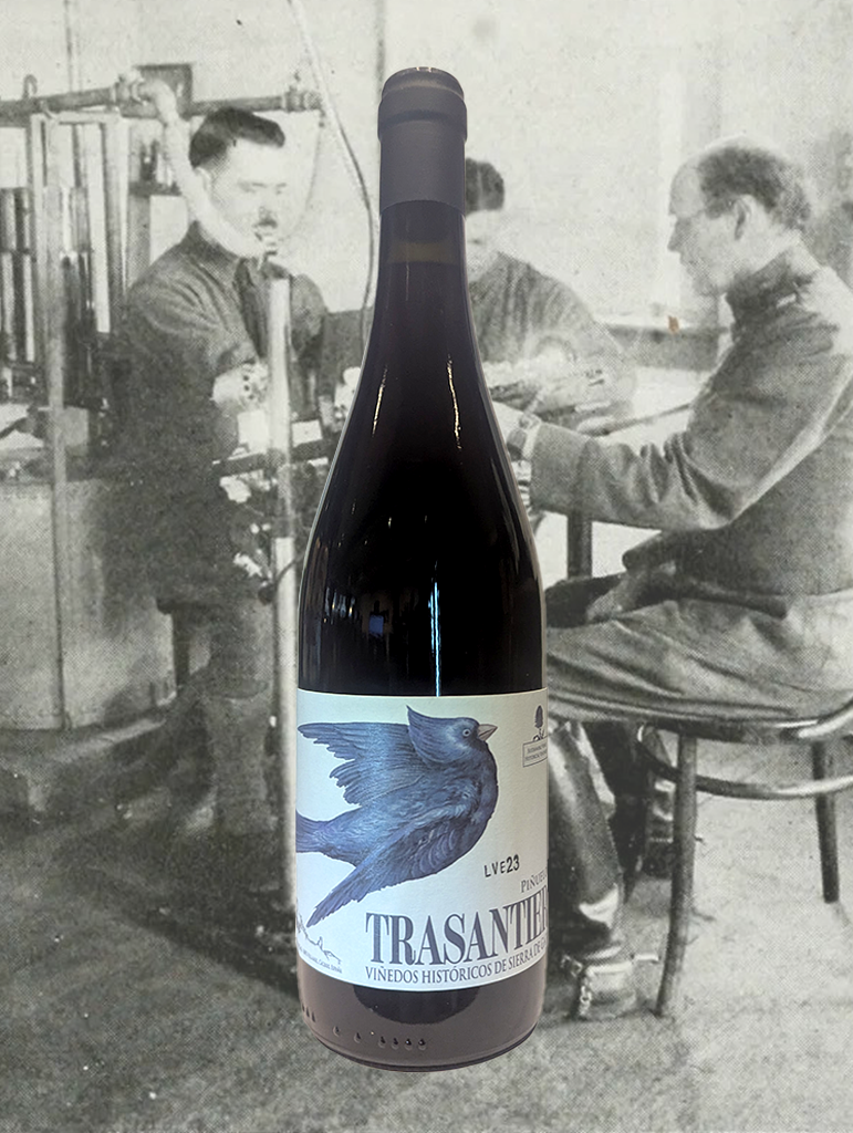 A bottle of Recuero 'Trasantier' Pinuelo 2023 from Montes de Toledo, Spain