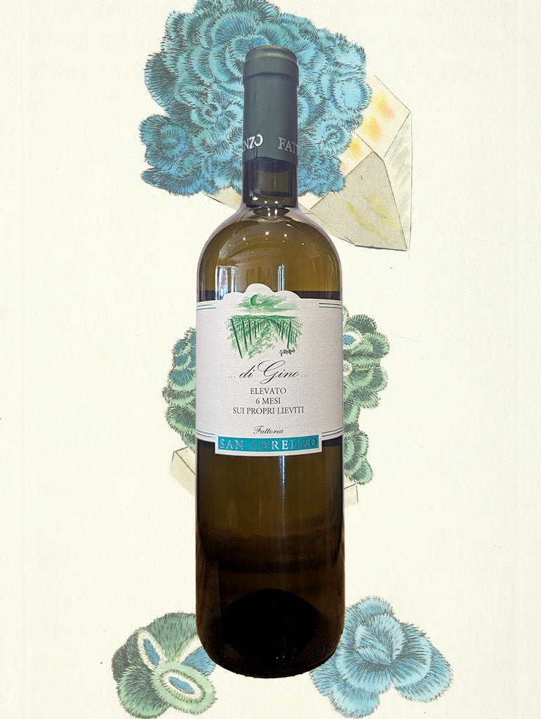 A bottle of San Lorenzo 'Gino Bianco' Verdicchio 2024 from Marche, Italy