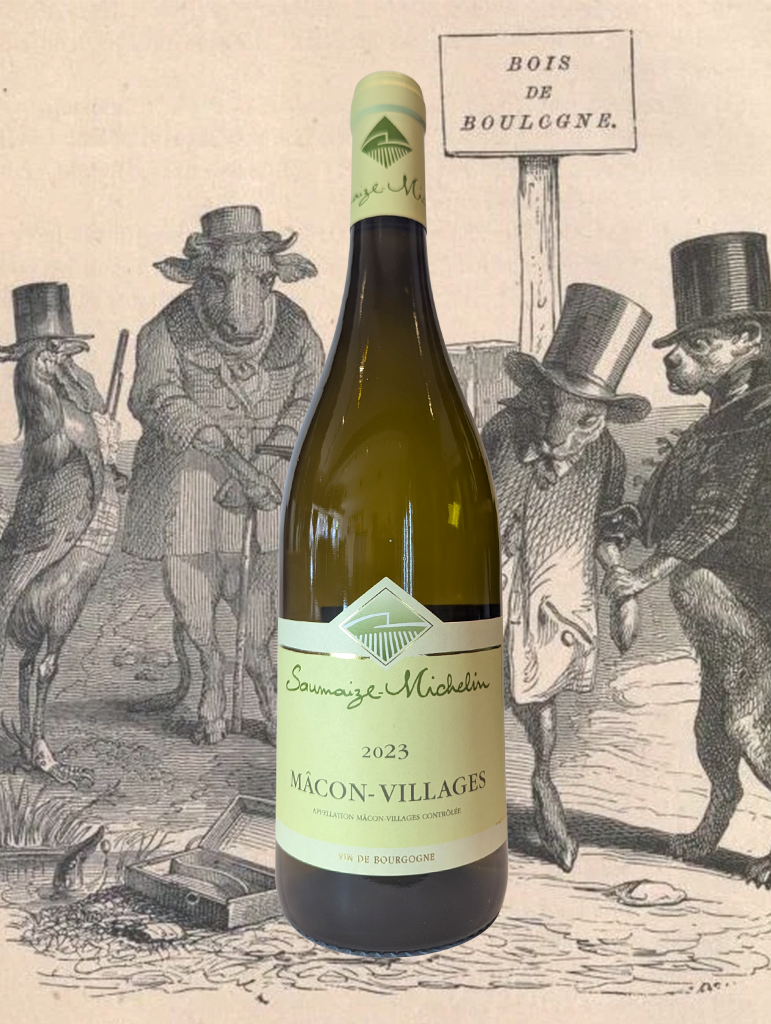 A bottle of Saumaize-Michelin Macon Villages 2022 from Burgundy, France 