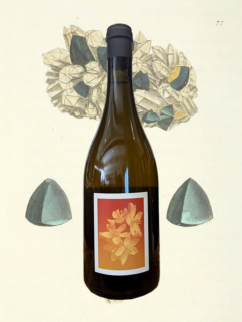 A bottle of Sven Joschke 'L'ambre' Skin Contact 2025 from the Barossa Valley
