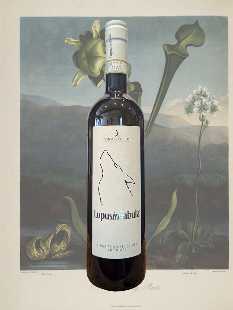 A bottle of Tenute Olbios 'Lupus in Fabula' Vermentino 2024 from Sardinia, Italy