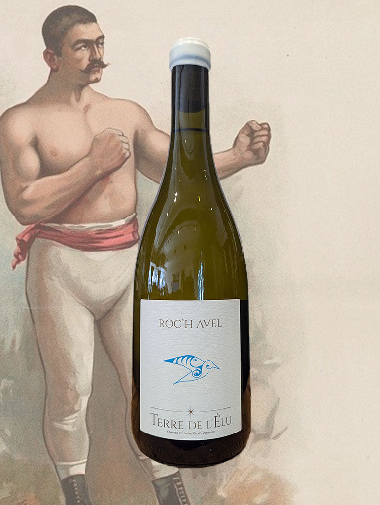 A bottle of Terre de l'Elu 'Roc'h Avel' Chenin Blanc 2025 from the Loire Valley, France