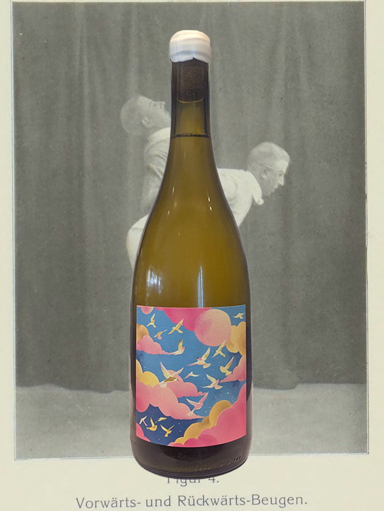 A bottle of The Other Right 'Future' Sauvignon Blanc 2025 from Adelaide Hills
