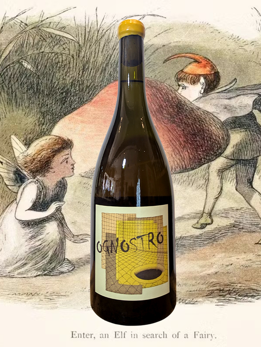 A bottle of Tinessa 'Ognostro Bianco' Fiano 2020 from Campania, Italy - A rich and complex Fiano from the Italian south!  