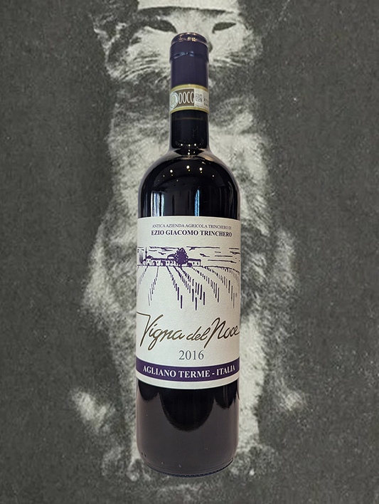 A bottle of Trinchero 'Vigne del Noce' Barbera d'Asti Superiore 2016 from Piemonte, Italy