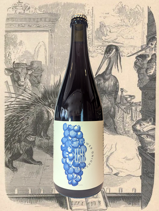 A bottle of Wildflower 'St Edward: Montepulciano' Wild Ale 2024 from Marrickville, NSW 