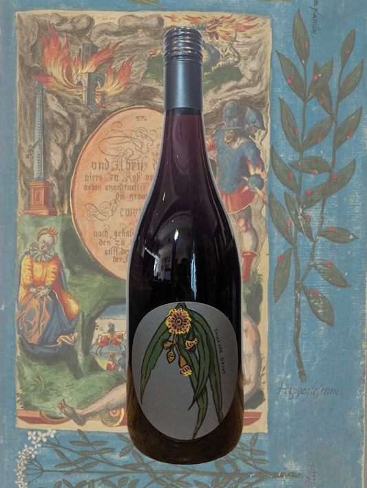 A bottle of Worlds Apart 'Someone Great' Grenache 2024 from McLaren Vale, SA - A bright, elegant Grenache from old vines in the McLaren Vale. 
