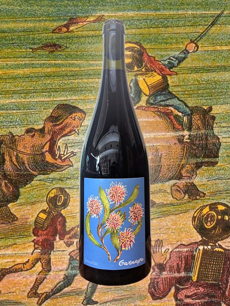 Borachio 'Garnaxa' Grenache 2023 | McLaren Vale