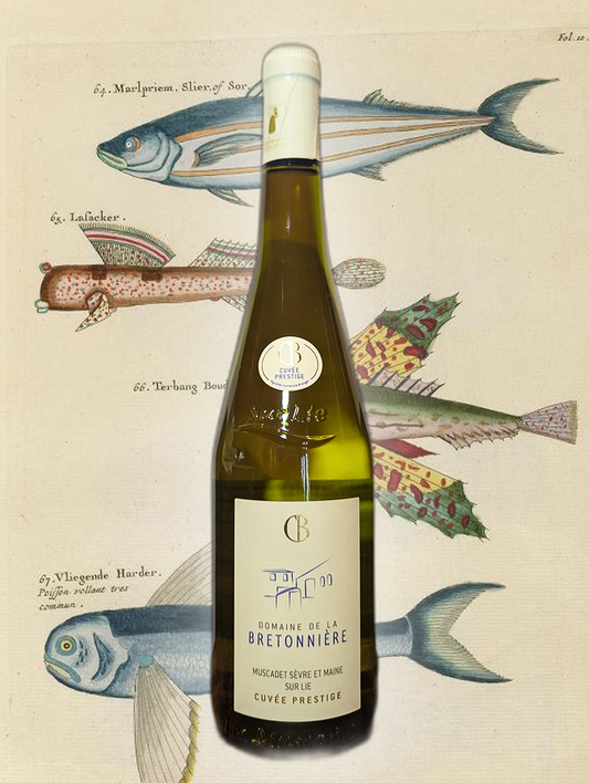Brettoniere 'Cuvee Prestige' Muscadet 2023 | Loire Valley, France