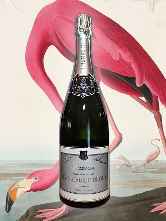 Champagne Jean-Cedric Deguy Cuvee Selection NV | Champagne, France