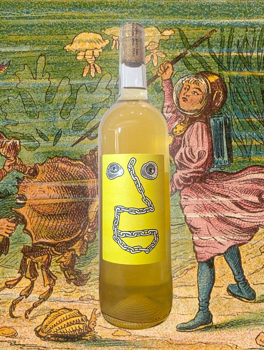 Bottle of Fin Wines ‘Skins’ 2024, set against a warm-toned background, evoking skin-contact texture and aromatic lift.