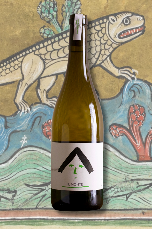 Bottle of La Morella 'Il Monte' Cortese 2023 in front of a medieval sea creature illustration. Minimalist white label with black roof-like symbol and green accents.