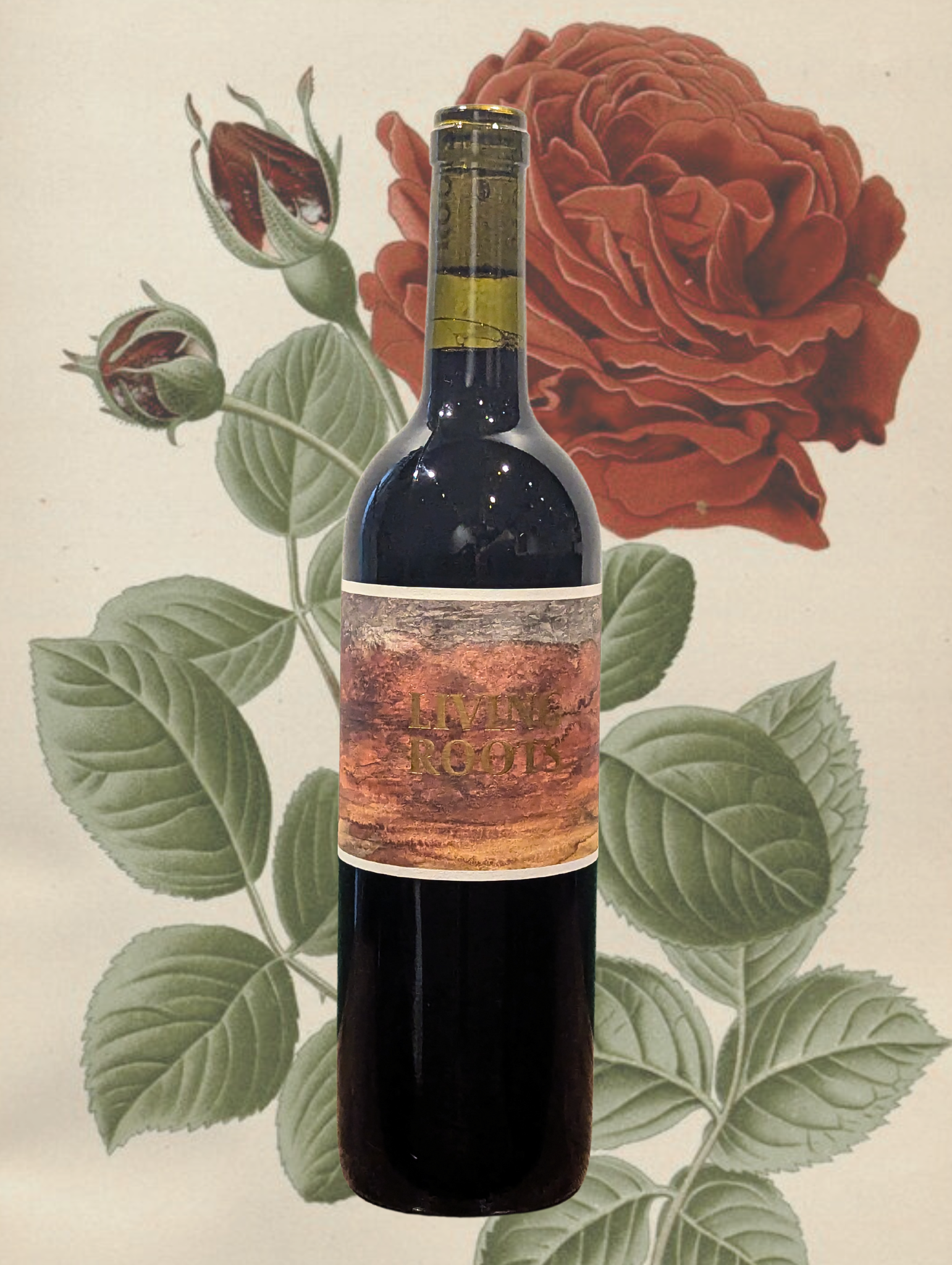 Bottle of Living Roots ‘Depths of the Earth’ Red Blend 2022 against a botanical illustration of a deep red rose
