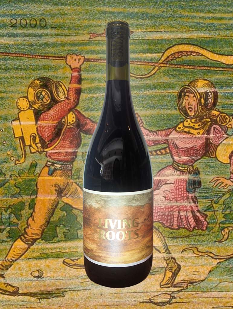 Living Roots Pinot Noir 2022 | Adelaide Hills, SA