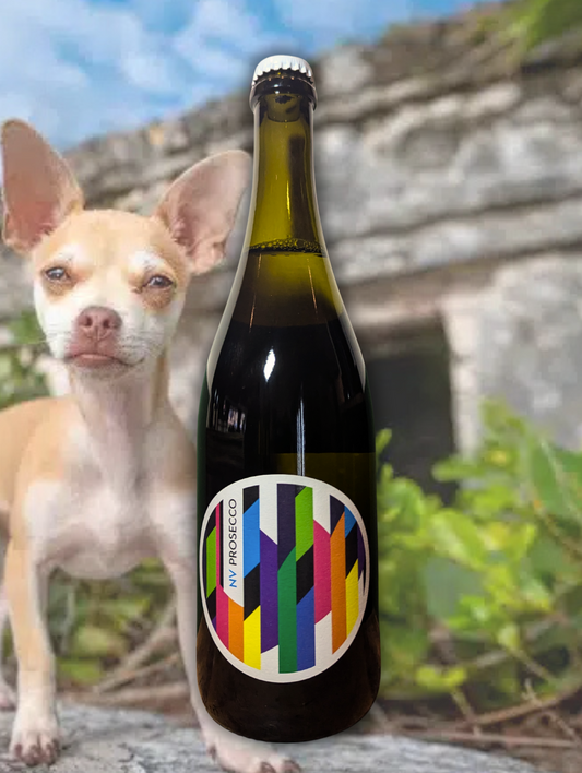 Bottle of Mercer Prosecco 2023 in front of a stone ruin with a skeptical-looking chihuahua, blending surreal humour with crisp wine branding.