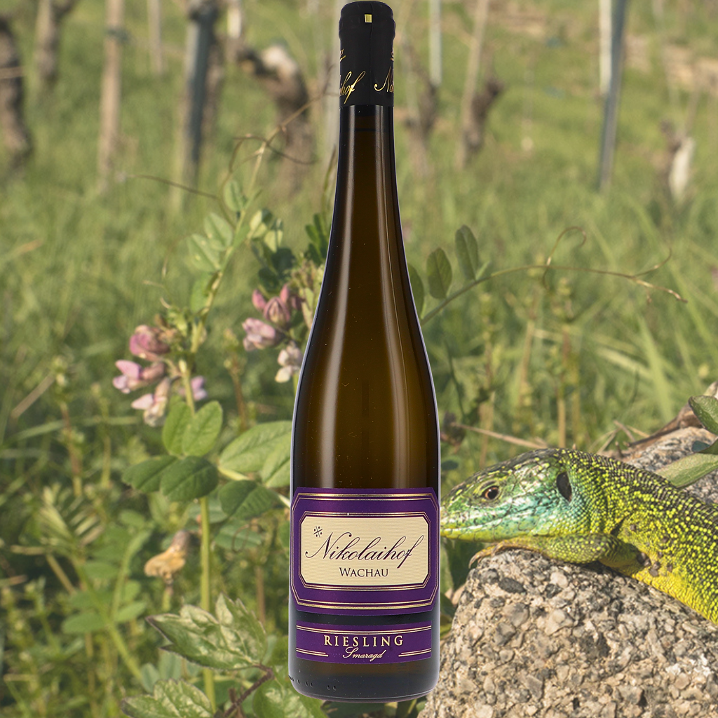Bottle of Nikolaihof 'Vom Stein' Riesling Smaragd 2019 with a background featuring the Smaragd lizard — a symbol of Wachau's top classification. A nod to ancient vines and precise, slow winemaking.
