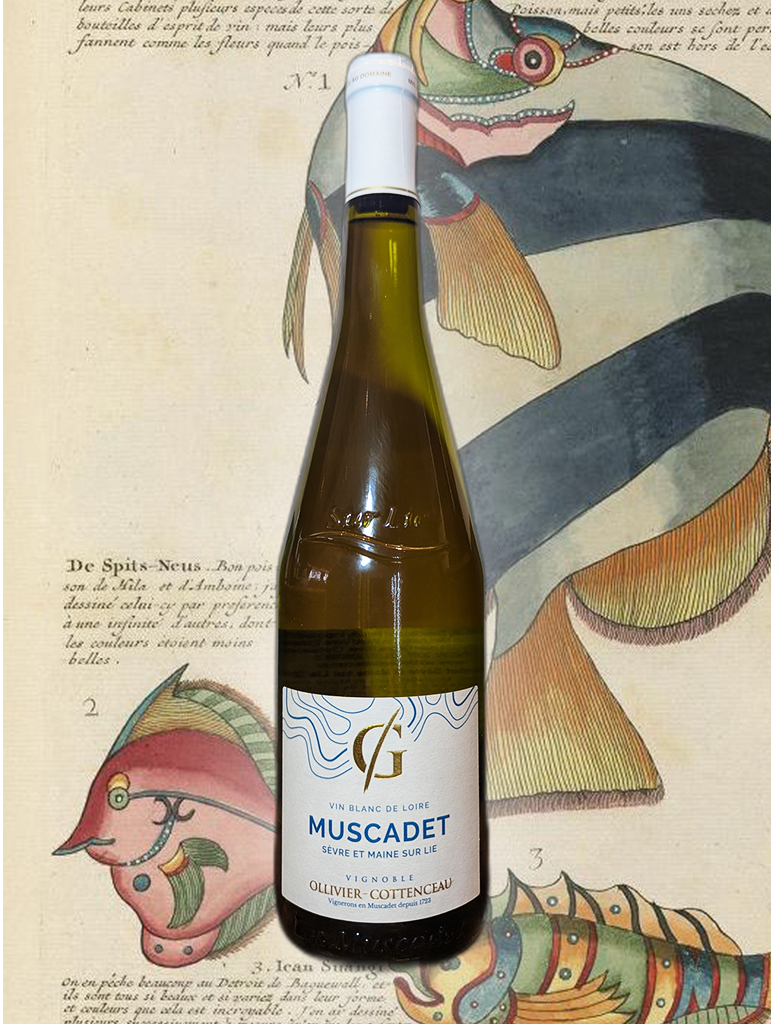 L'Oliver 'Grenaudiere' Muscadet 2024 | Loire Valley, France