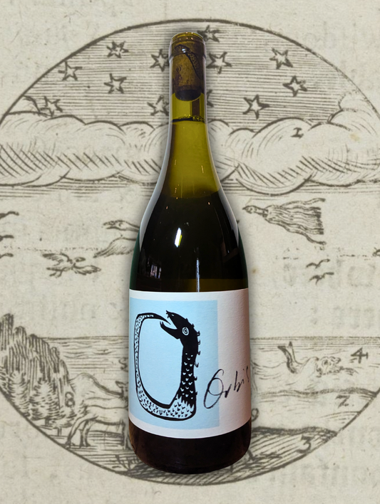 Bottle of Orbis Fiano 2023 in front of a textured, earthy background. The label is modern and minimal, with tones of gold and white, reflecting the wine’s aromatic and savoury nature.