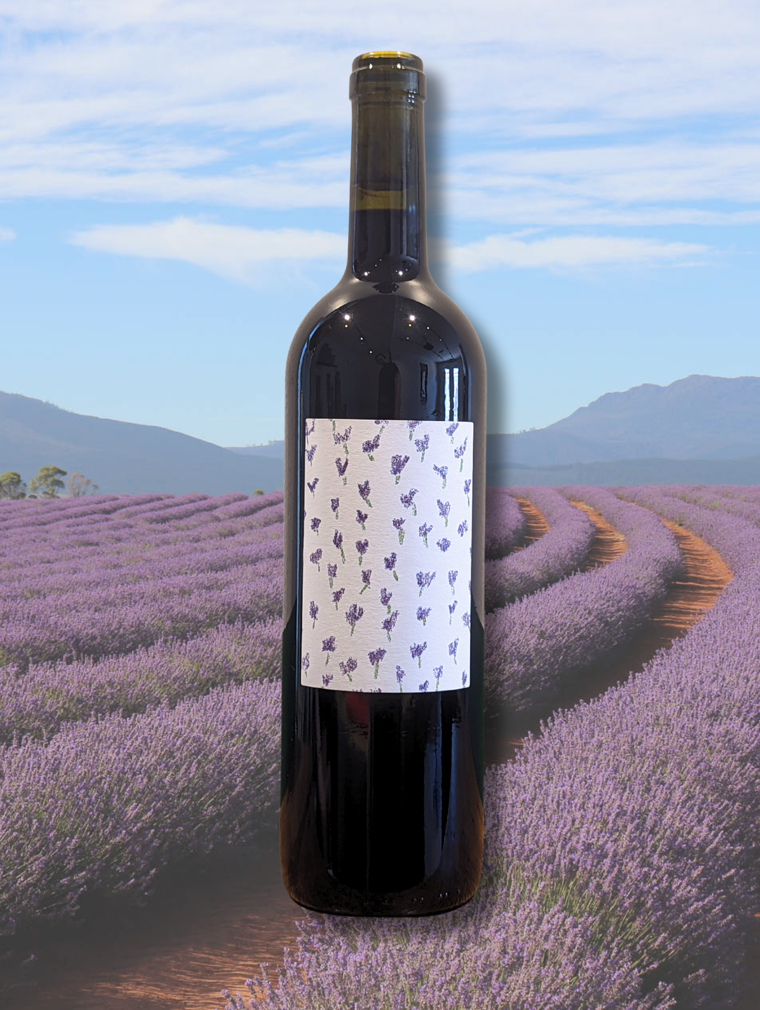 Bottle of Vita Pinot Noir 2023 set against a backdrop of lavender fields. Certified organic Pinot from North Canterbury with no additions, floral finesse, and dark-fruited depth.